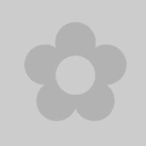 Missing image placeholder