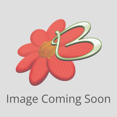An item image placeholder